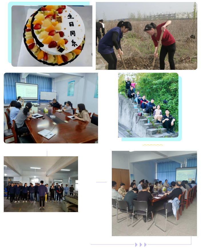 新澳门资料大全正版资料2025