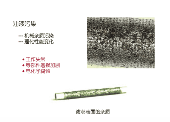 新澳门资料大全正版资料2025
